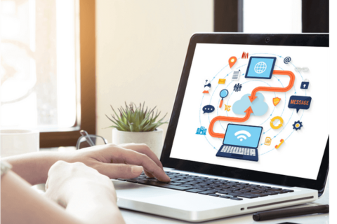 Web Portal Development Company in Noida